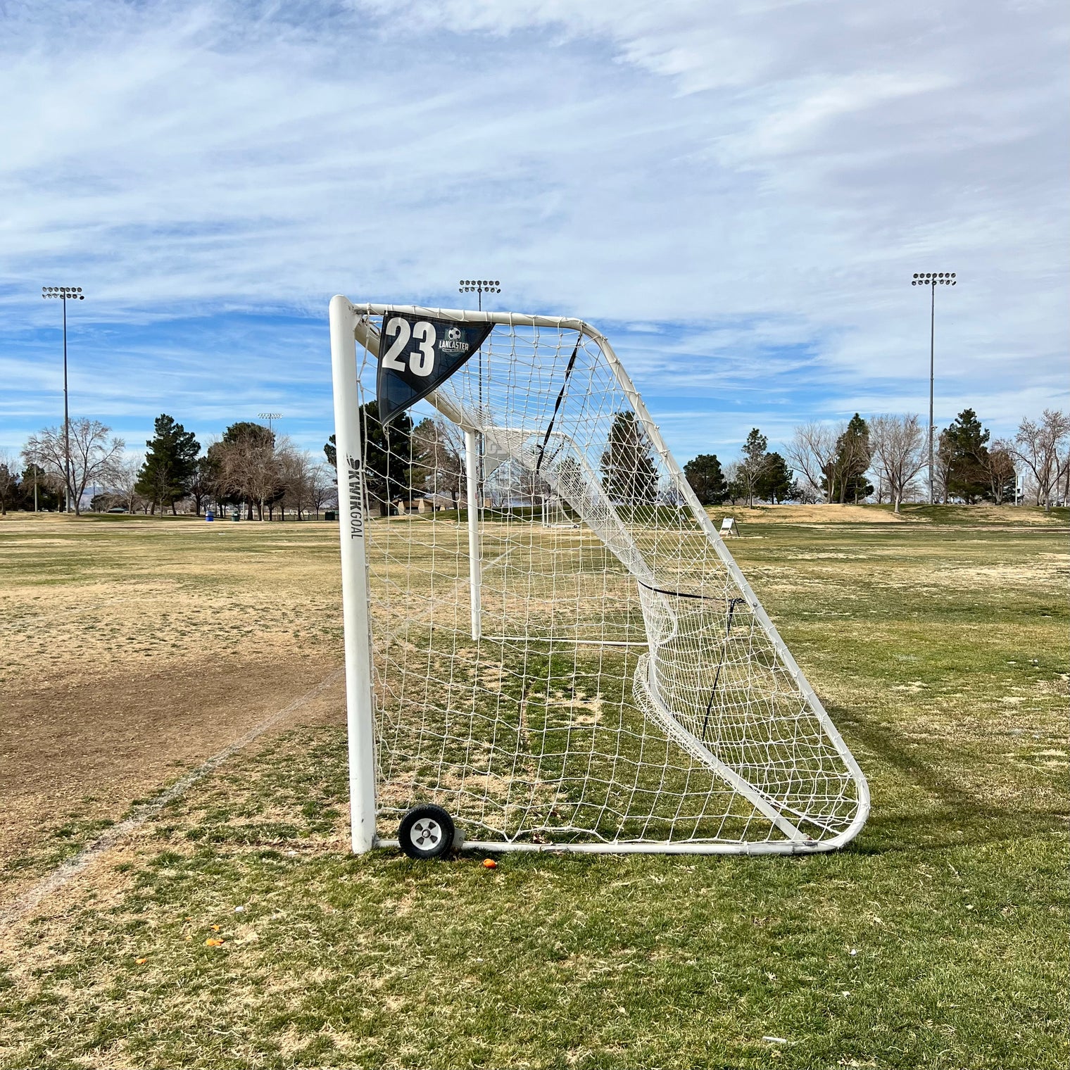 Soccer Goal Net